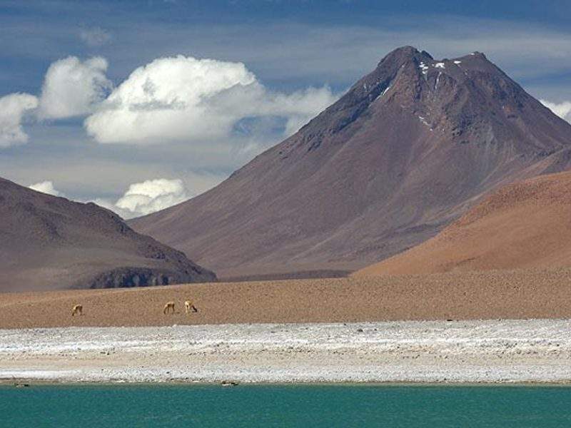 Imagen de expedición