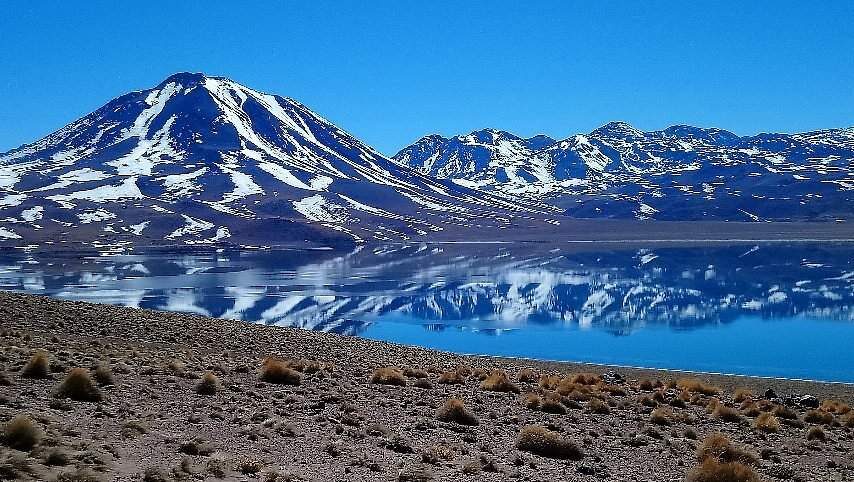 Lagunas altiplanicas miscanti y meniques tour precios y consejos