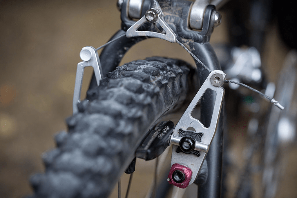 Imagen del artículo