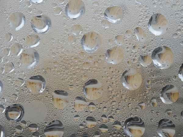 Imagen del artículo