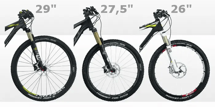 Imagen del artículo