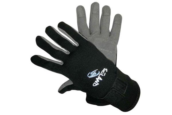 Imagen del artículo