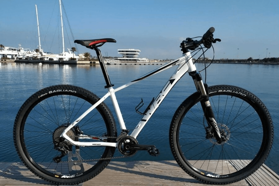 Imagen del artículo