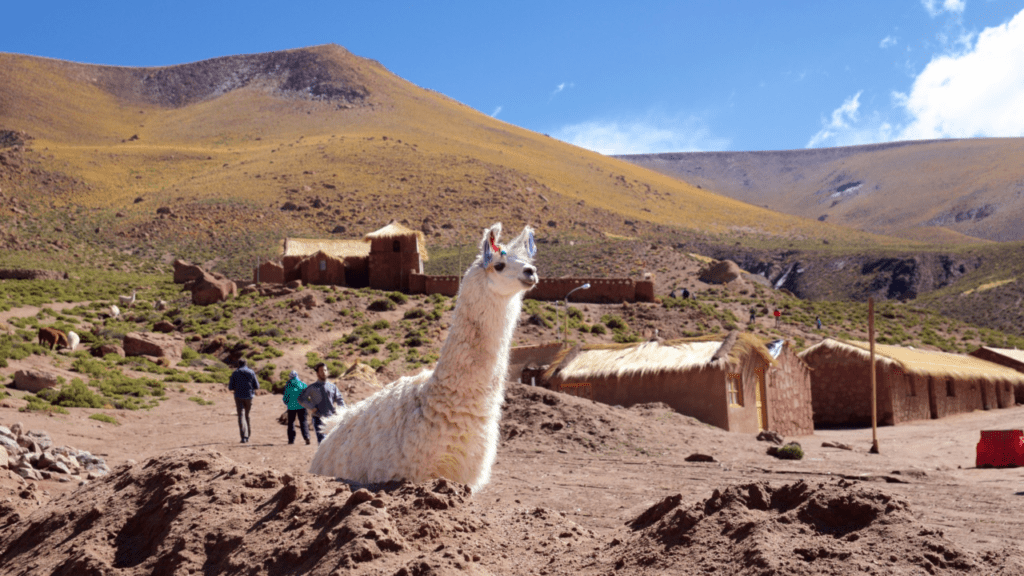 Trekking en san pedro de atacama los 8 mejores y consejos
