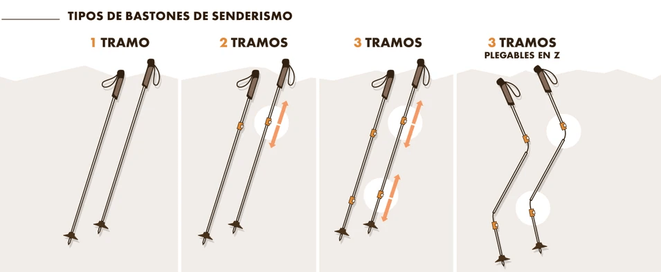 Imagen del artículo