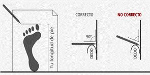 Imagen del artículo