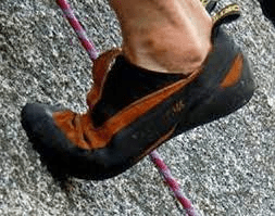 Imagen del artículo