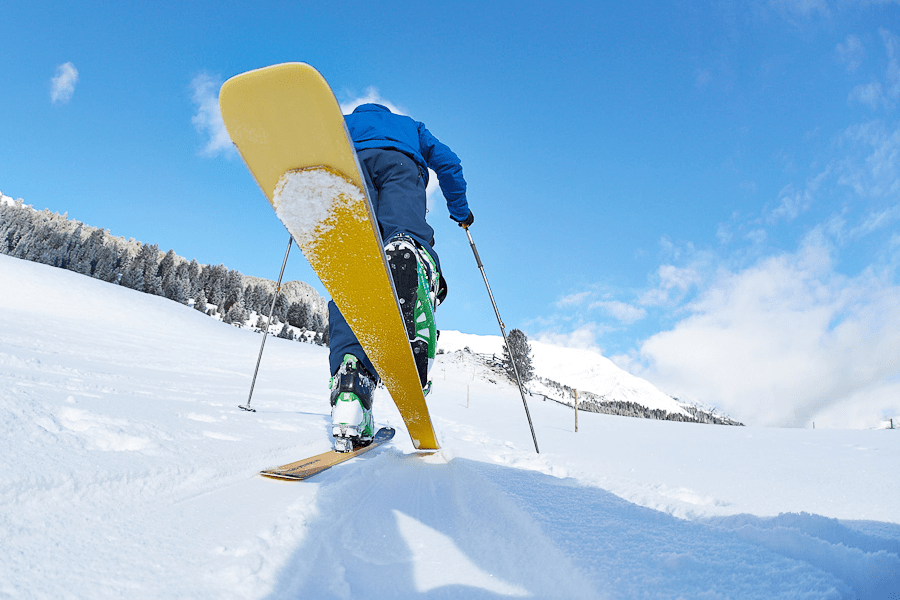 Imagen del artículo