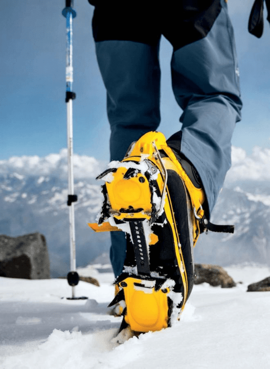 Imagen del artículo