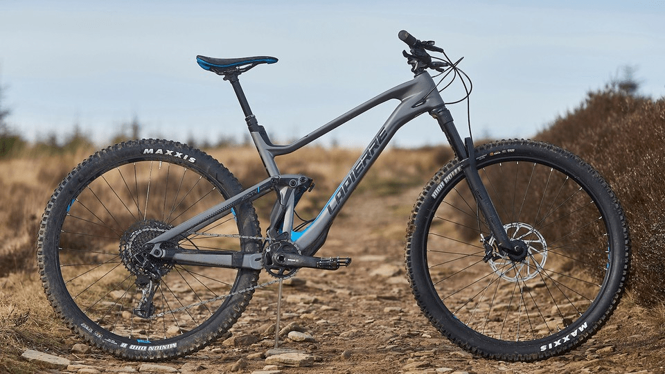 Imagen del artículo