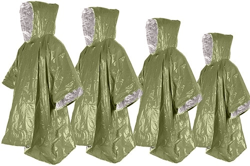 Imagen del artículo