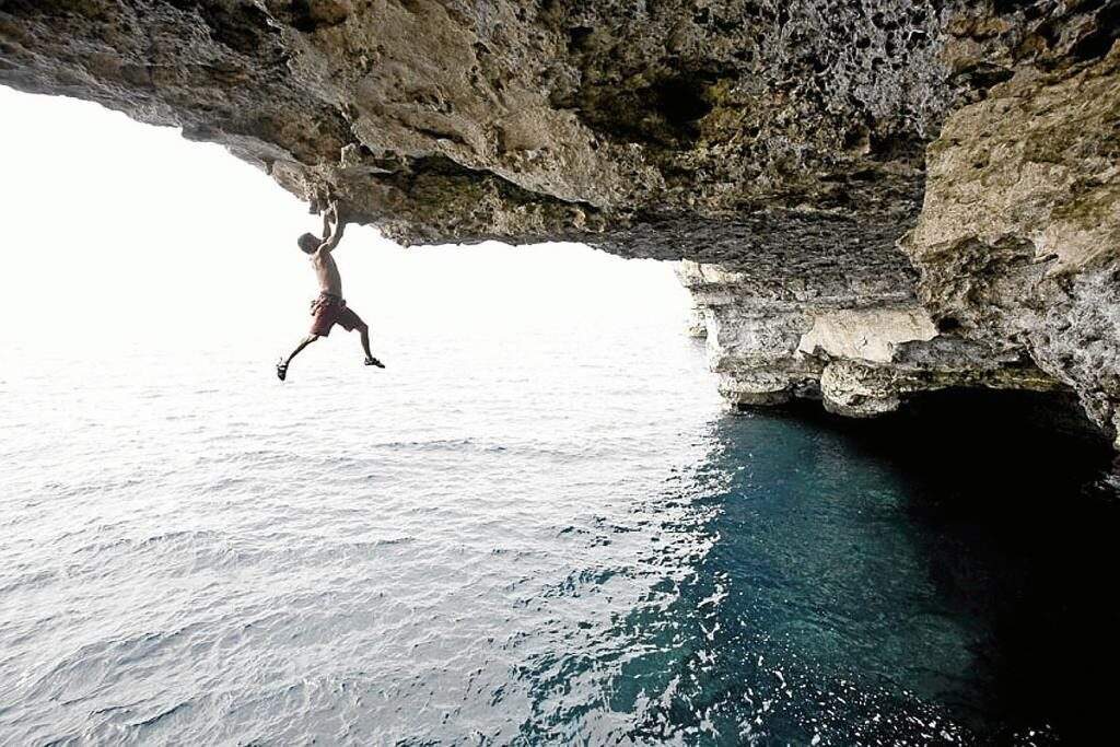 Imagen del artículo