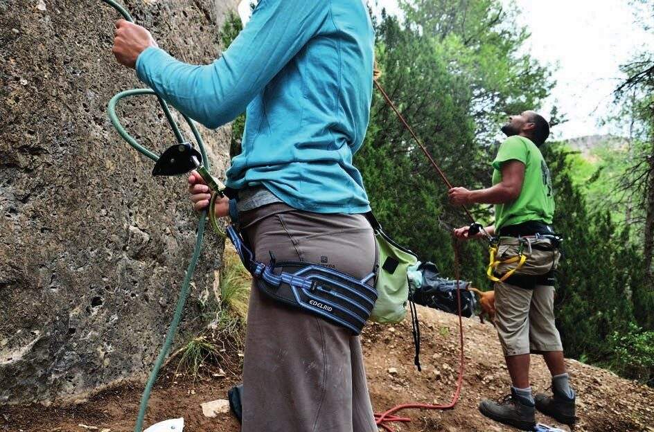 Imagen del artículo