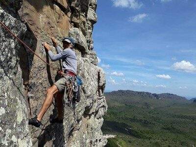 Imagen del artículo