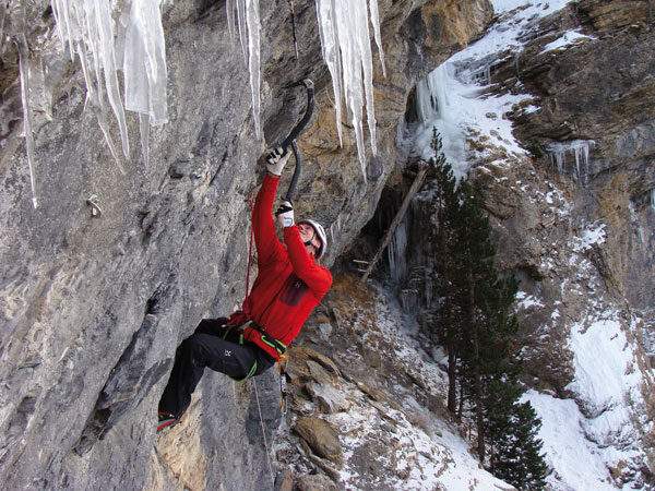 Imagen del artículo