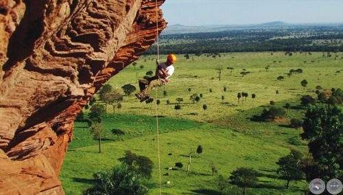 Imagen del artículo