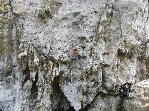 Imagen del artículo