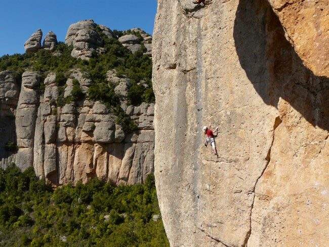 Imagen del artículo