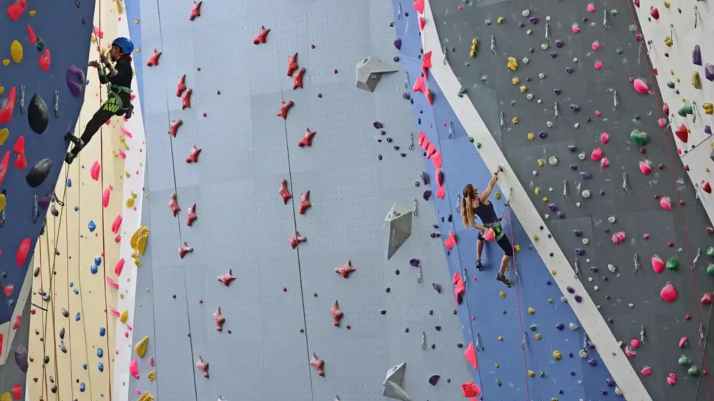 Imagen del artículo