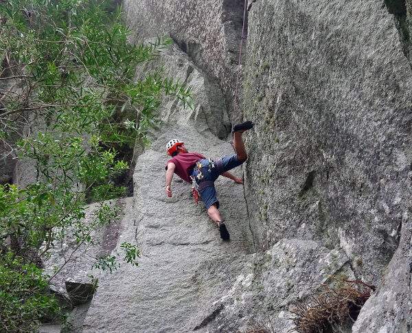 Imagen del artículo