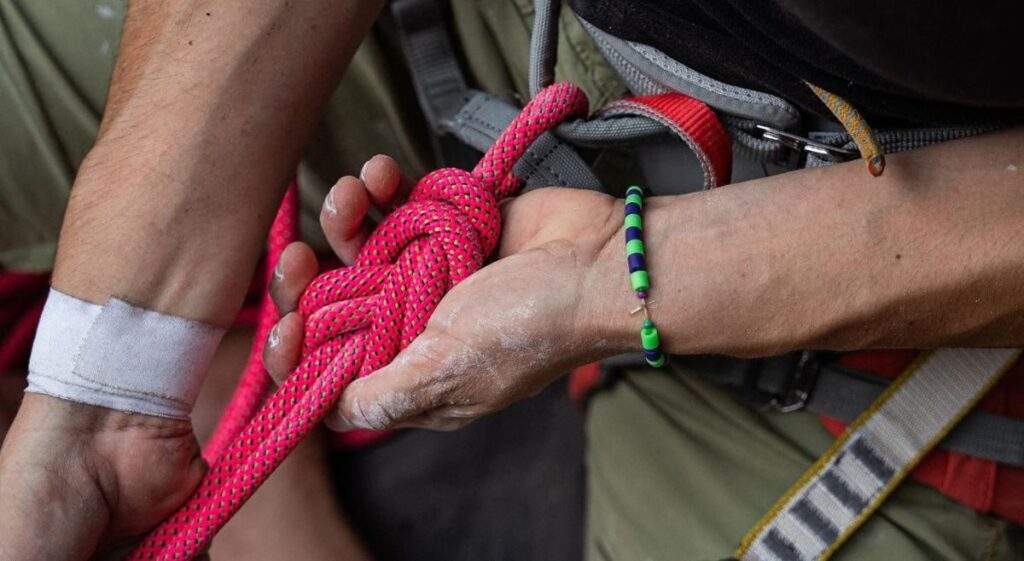 Imagen del artículo