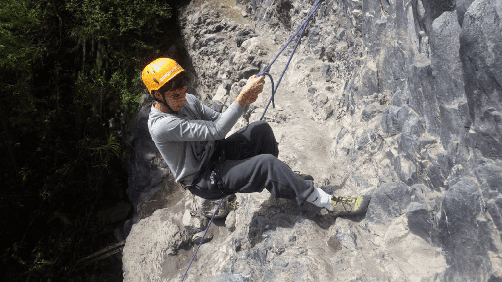 Imagen del artículo