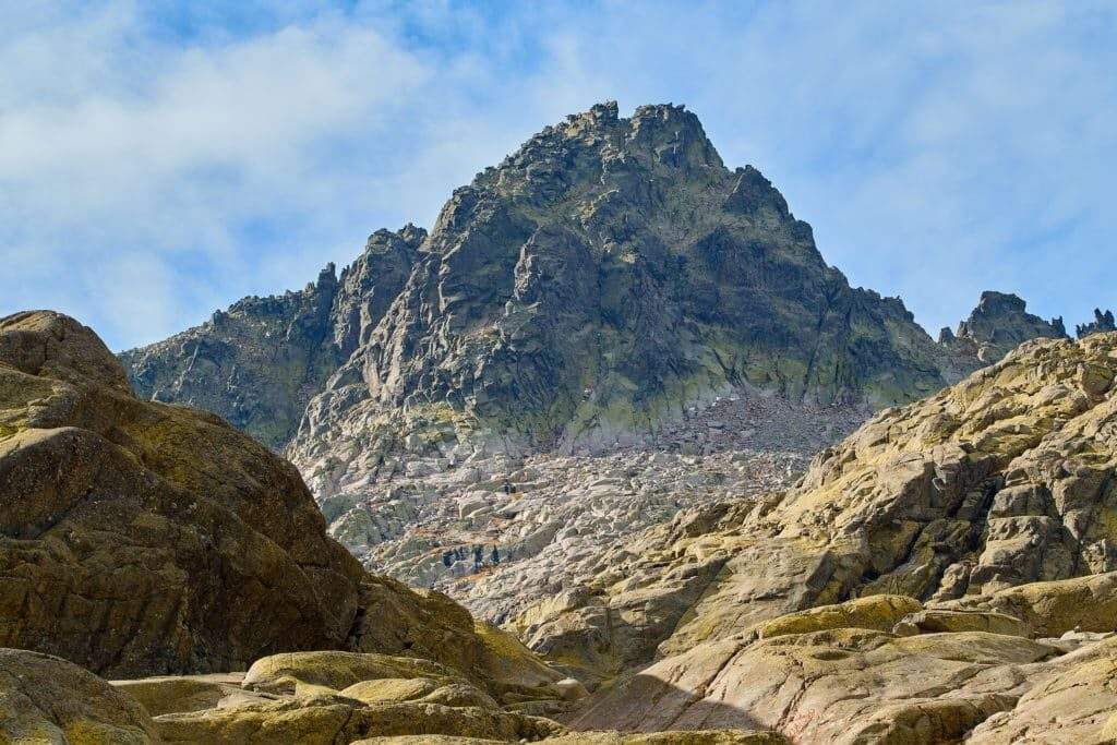 Imagen del artículo