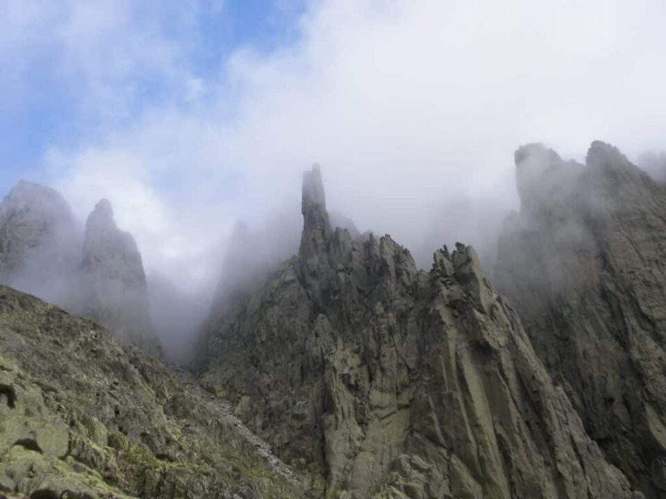 Imagen del artículo