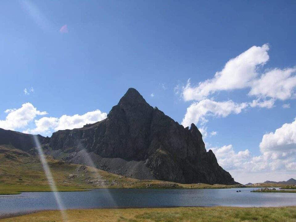 Imagen del artículo