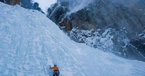 Imagen del artículo