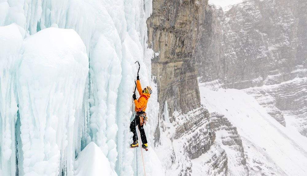 Imagen del artículo