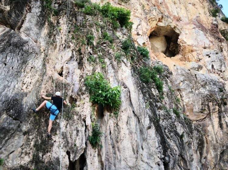 Imagen del artículo