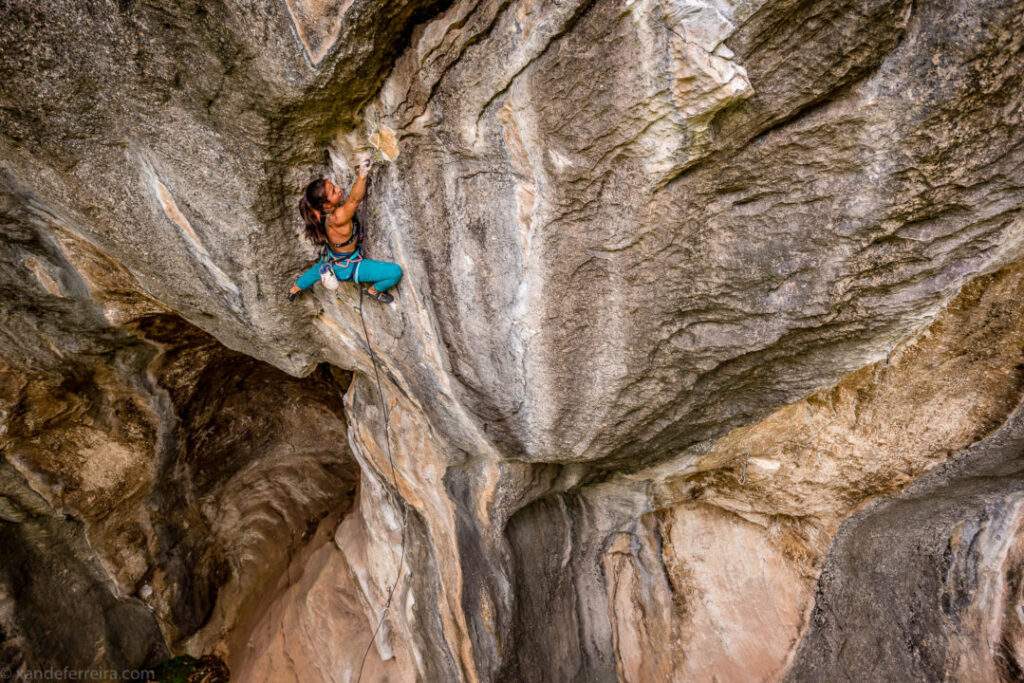 Imagen del artículo