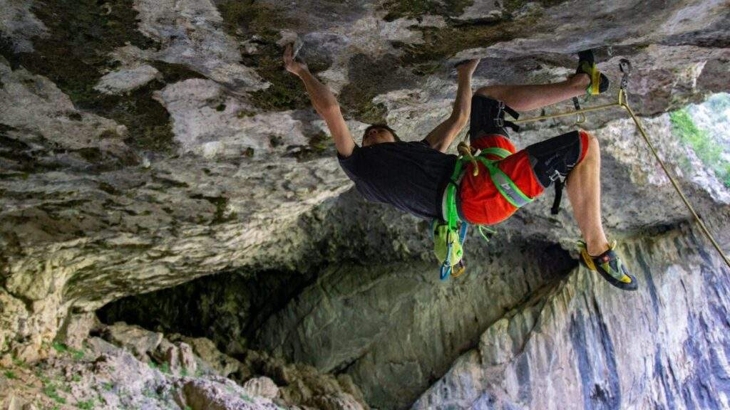 Imagen del artículo