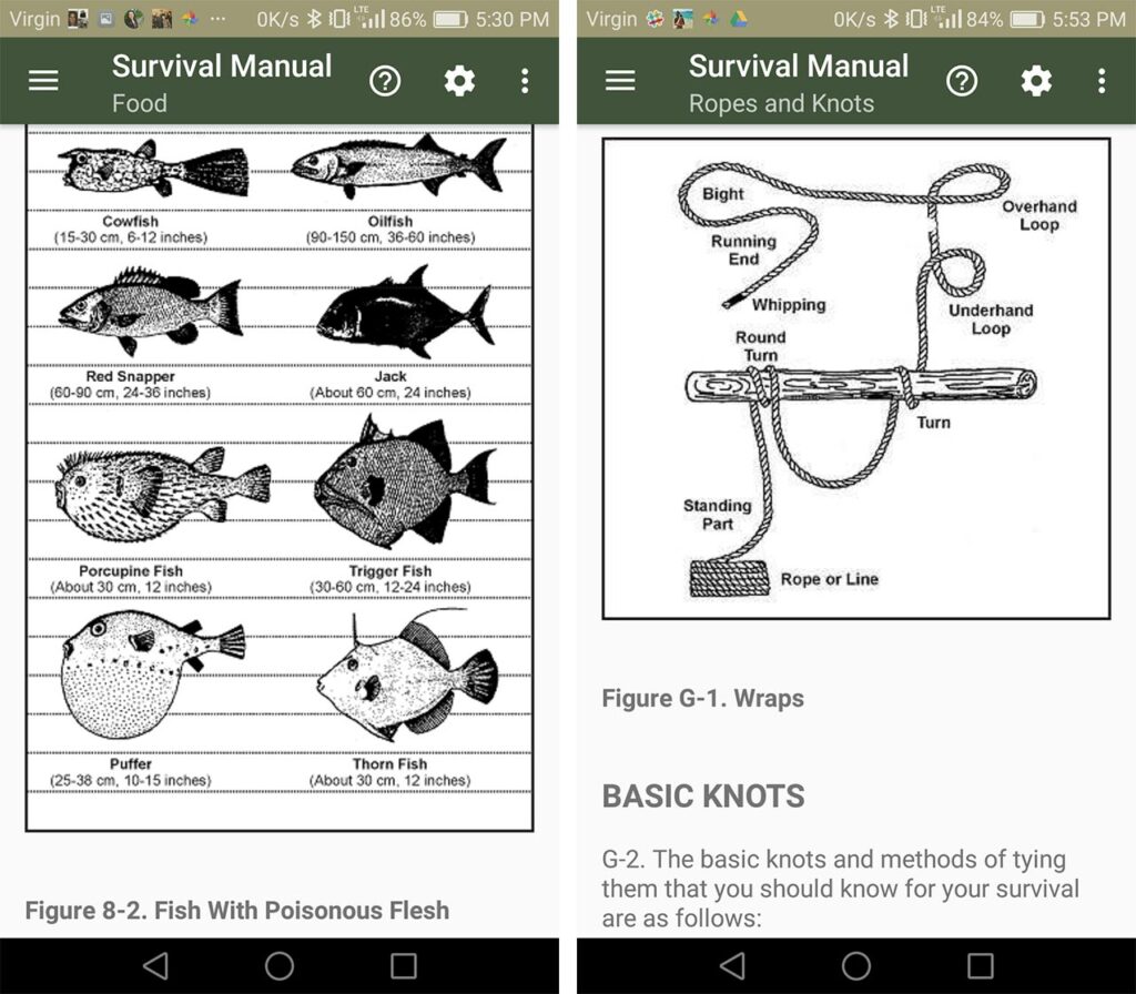 Imagen del artículo