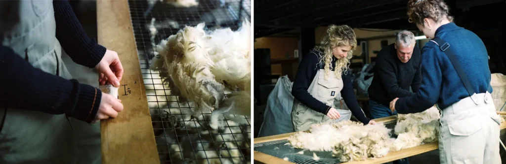 Imagen del artículo